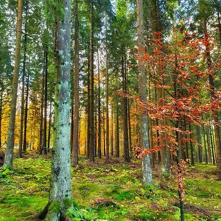 Meisterstein Lägenhet