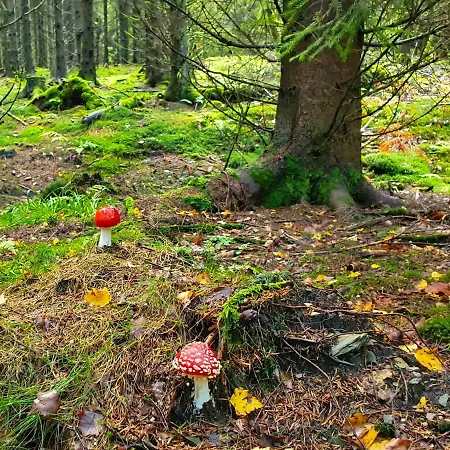 Meisterstein * Winterberg