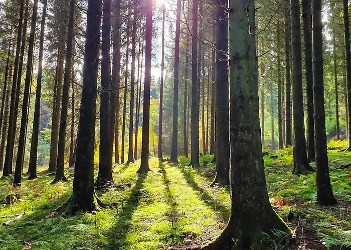 Meisterstein 公寓 温特贝格