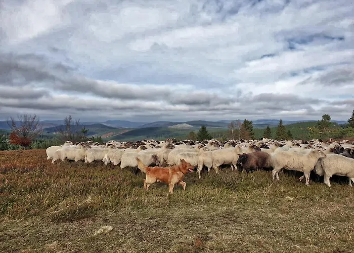 Meisterstein 温特贝格